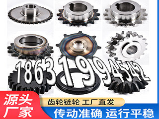 小齿轮厂家地址